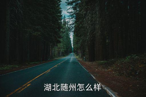 湖北隨州怎么樣