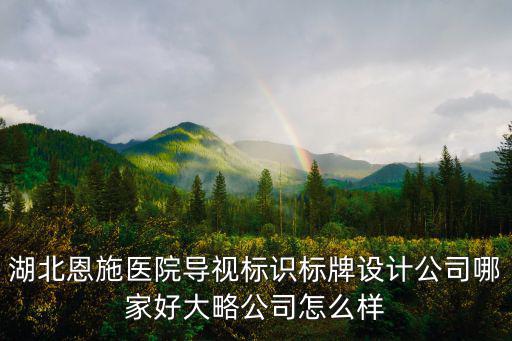湖北恩施醫院導視標識標牌設計公司哪家好大略公司怎么樣