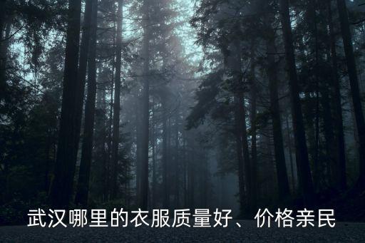 武漢哪里的衣服質量好、價格親民