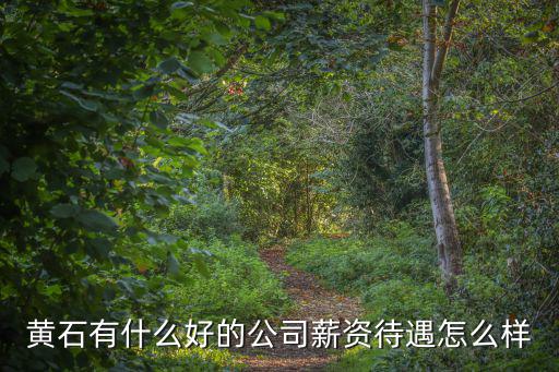 黃石有什么好的公司薪資待遇怎么樣