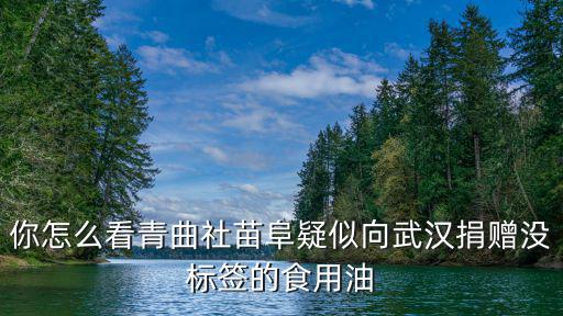 你怎么看青曲社苗阜疑似向武漢捐贈(zèng)沒(méi)標(biāo)簽的食用油