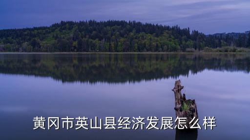 湖北黃岡市經(jīng)濟(jì)怎么樣,黃岡市英山縣經(jīng)濟(jì)發(fā)展怎么樣