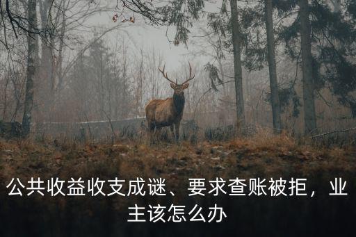 武漢物業(yè)不公示公共收益怎么舉報,物業(yè)侵吞全部公共收益