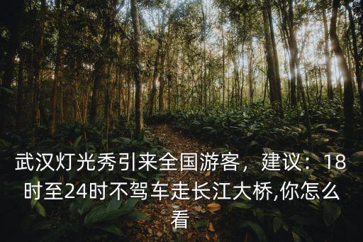 武漢燈光秀引來全國游客，建議：18時至24時不駕車走長江大橋,你怎么看