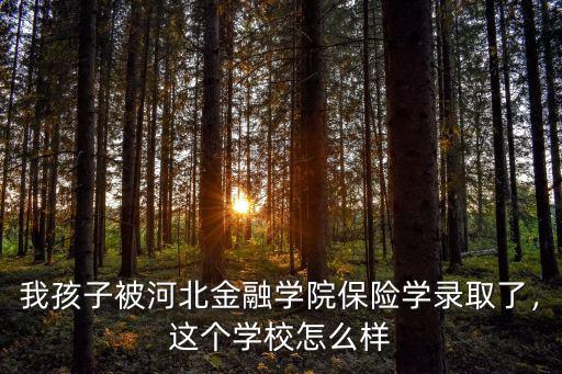 我孩子被河北金融學院保險學錄取了，這個學校怎么樣