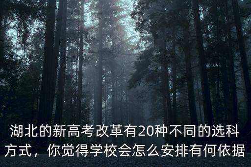 湖北的新高考改革有20種不同的選科方式，你覺得學校會怎么安排有何依據