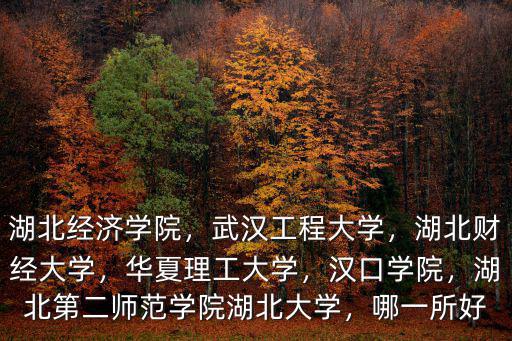 不想去湖北經濟學院怎么辦,湖北經濟學院