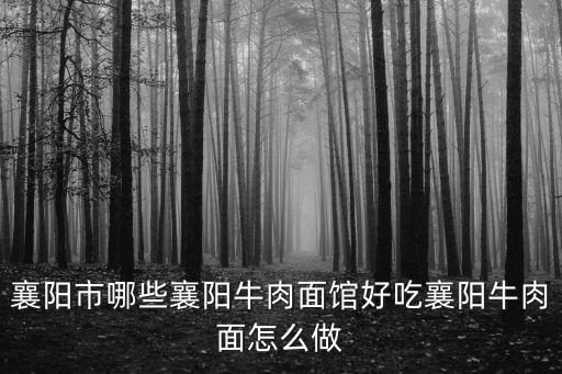 襄陽牛肉面怎么樣外地人吃的慣嗎,襄陽牛肉面到底好不好吃