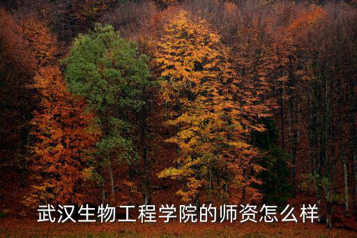武漢生物工程學院的師資怎么樣
