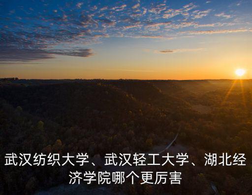 武漢紡織大學(xué)、武漢輕工大學(xué)、湖北經(jīng)濟(jì)學(xué)院哪個(gè)更厲害