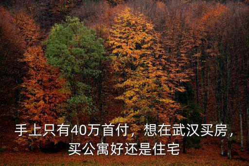 手上只有40萬首付，想在武漢買房，買公寓好還是住宅