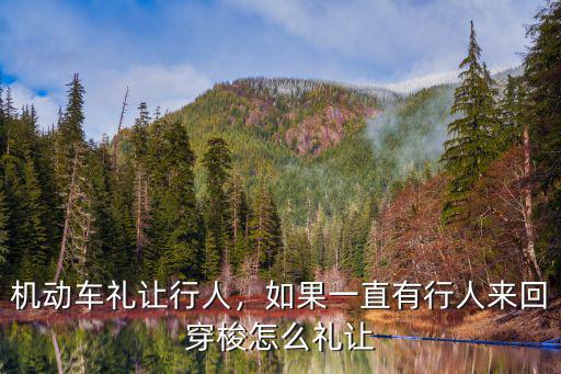 咸寧機動車怎么避讓行人,機動車禮讓行人