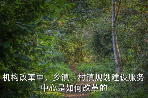 機構改革中，鄉鎮、村鎮規劃建設服務中心是如何改革的