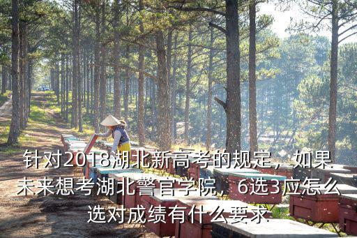 湖北警官學(xué)校怎么考雙學(xué)位,女生考湖北警官學(xué)院合適嗎