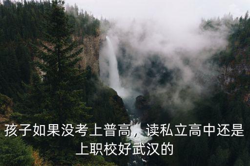 孩子在武漢上不了普高怎么辦,確定上不了普高了
