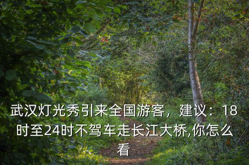 武漢長江燈光秀怎么買票,武漢燈光秀引來全國游客