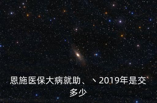 恩施醫(yī)保大病就助、丶2019年是交多少