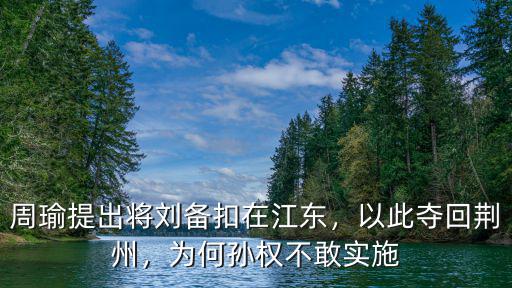 周瑜提出將劉備扣在江東，以此奪回荊州，為何孫權不敢實施