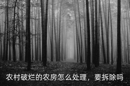 武漢市農村閑置房屋怎么處理,農村破爛的農房怎么處理