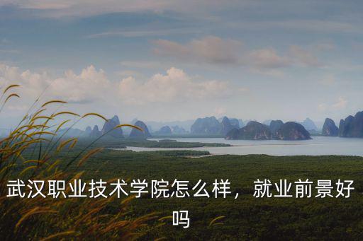 武漢職業(yè)技術(shù)學(xué)院怎么樣，就業(yè)前景好嗎