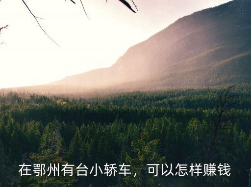 在鄂州有臺小轎車，可以怎樣賺錢