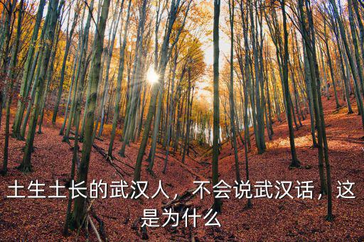 土生土長的武漢人，不會說武漢話，這是為什么