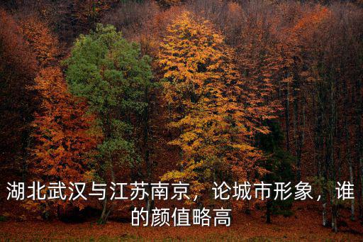 湖北武漢與江蘇南京，論城市形象，誰的顏值略高