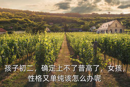 孩子初二，確定上不了普高了，女孩，性格又單純該怎么辦呢