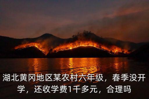 湖北黃岡地區某農村六年級，春季沒開學，還收學費1千多元，合理嗎