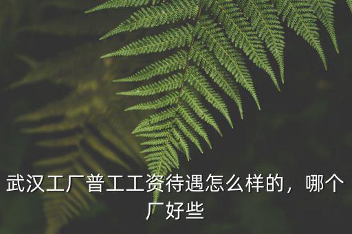 武漢天合汽配廠待遇怎么樣,武漢東風汽配廠待遇怎么樣