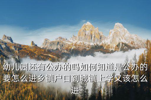 荊州市公立幼兒園怎么進,公立幼兒園都很難進嗎