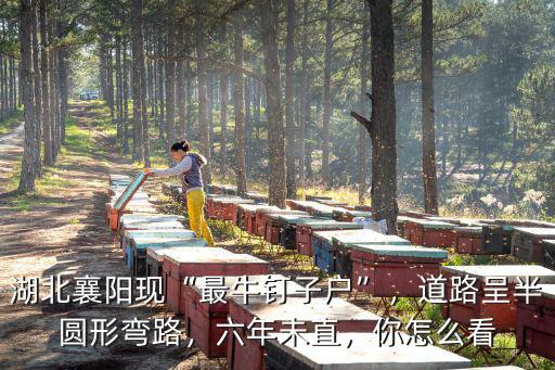 湖北釘子戶現在怎么了,不想當釘子戶了怎么辦