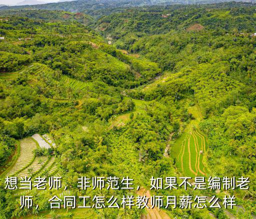 想當(dāng)老師，非師范生，如果不是編制老師，合同工怎么樣教師月薪怎么樣