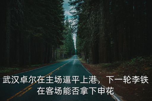 武漢卓爾主場(chǎng)在武漢哪個(gè)區(qū)怎么去,武漢卓爾在主場(chǎng)逼平上港