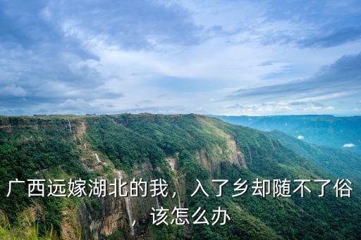 廣西男朋友湖北不讓嫁怎么辦,廣西遠嫁湖北的我