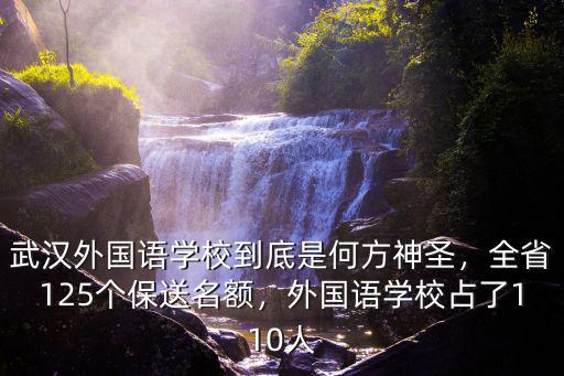 怎么就讀武漢外國語小學,武漢崇文外國語學校怎么樣