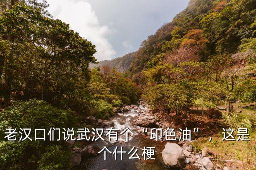 老漢口們說武漢有個“印色油”，這是個什么梗
