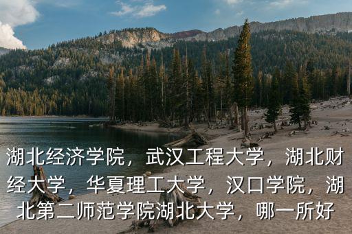 湖北經(jīng)濟學(xué)院，武漢工程大學(xué)，湖北財經(jīng)大學(xué)，華夏理工大學(xué)，漢口學(xué)院，湖北第二師范學(xué)院湖北大學(xué)，哪一所好