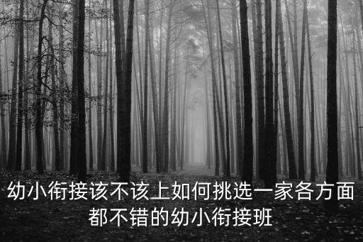 武漢百川幼小銜接怎么樣,幼小銜接到底銜接什么