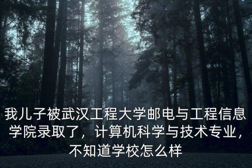我兒子被武漢工程大學郵電與工程信息學院錄取了，計算機科學與技術專業，不知道學校怎么樣