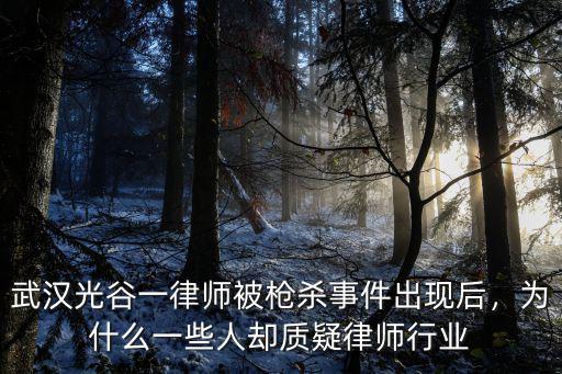 武漢光谷一律師被槍殺事件出現后，為什么一些人卻質疑律師行業
