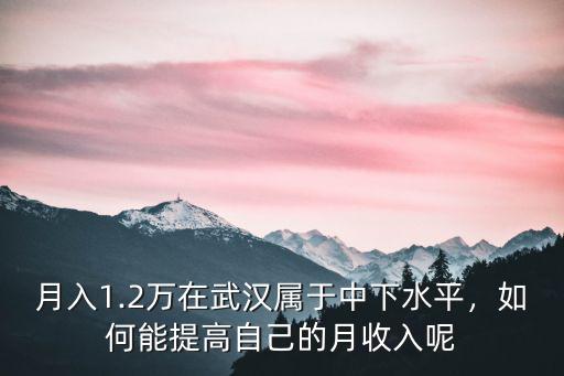 武漢食化所的待遇怎么樣,武漢小米公司待遇怎么樣
