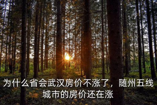 隨州怎么會是五線城市,湖北隨州作為一個五線城市