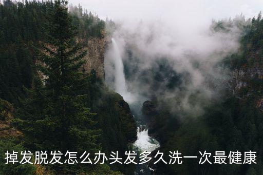掉發脫發怎么辦頭發多久洗一次最健康
