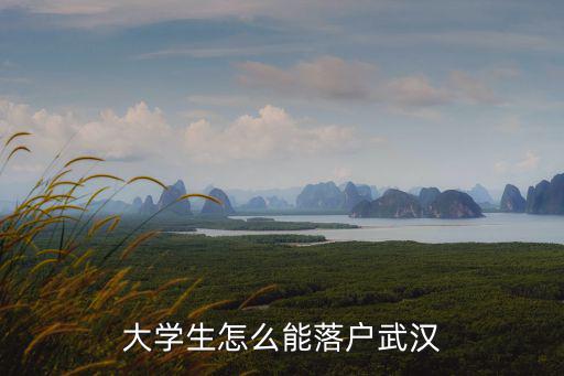 大學(xué)生怎么能落戶(hù)武漢