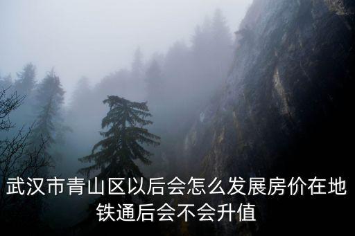 武漢市青山區以后會怎么發展房價在地鐵通后會不會升值