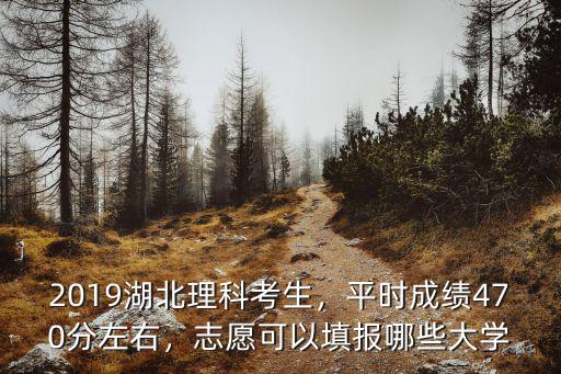 2019湖北理科考生，平時成績470分左右，志愿可以填報哪些大學