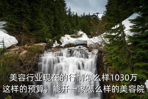 美容行業現在的行情怎么樣1030萬這樣的預算，能開一家怎么樣的美容院