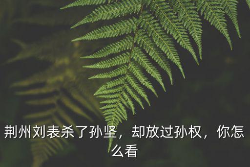 荊州劉表怎么了,荊州劉表殺了孫堅