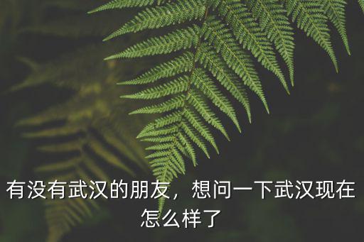 武漢吳倩現在怎么樣了,想問一下武漢現在怎么樣了